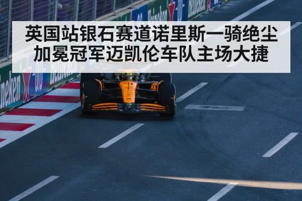 Lando Norris McLaren victory